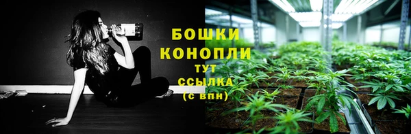 МДМА Заводоуковск