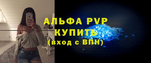 шишки Заволжск