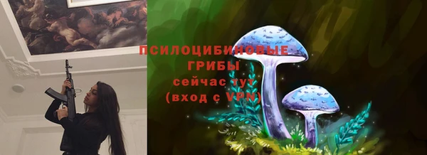 МДМА Заводоуковск