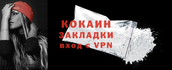 шишки Заволжск