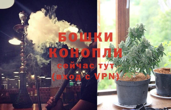 шишки Заволжск
