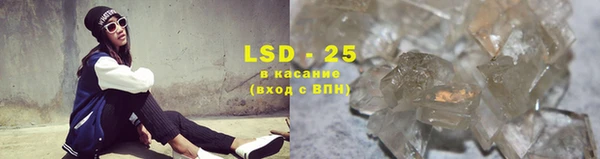 шишки Заволжск