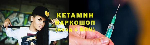 шишки Заволжск