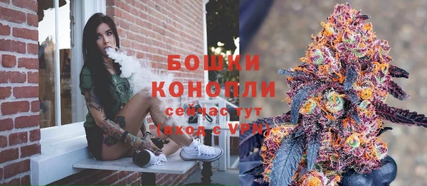 шишки Заволжск