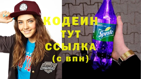 шишки Заволжск