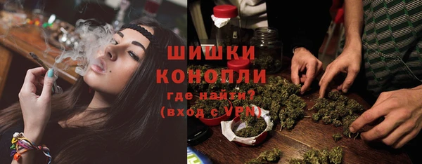 шишки Заволжск