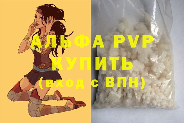 шишки Заволжск