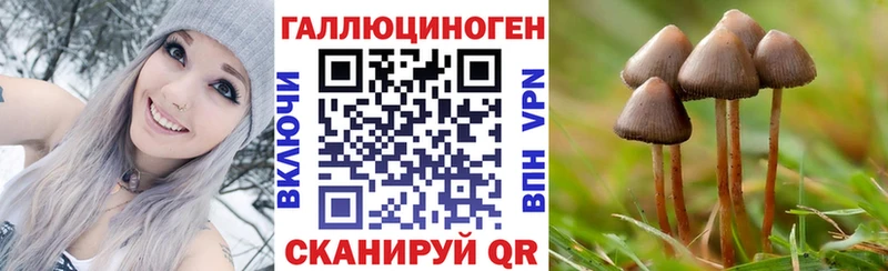 Псилоцибиновые грибы мицелий  где продают   маркетплейс формула  Новороссийск 